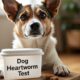 Dog heartworm test at home
