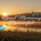 Good Morning Beautiful Gif