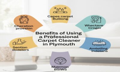 Benefits of Using a Professional