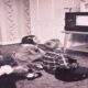 1970s children's shows