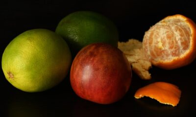 Allulose vs Monk Fruit