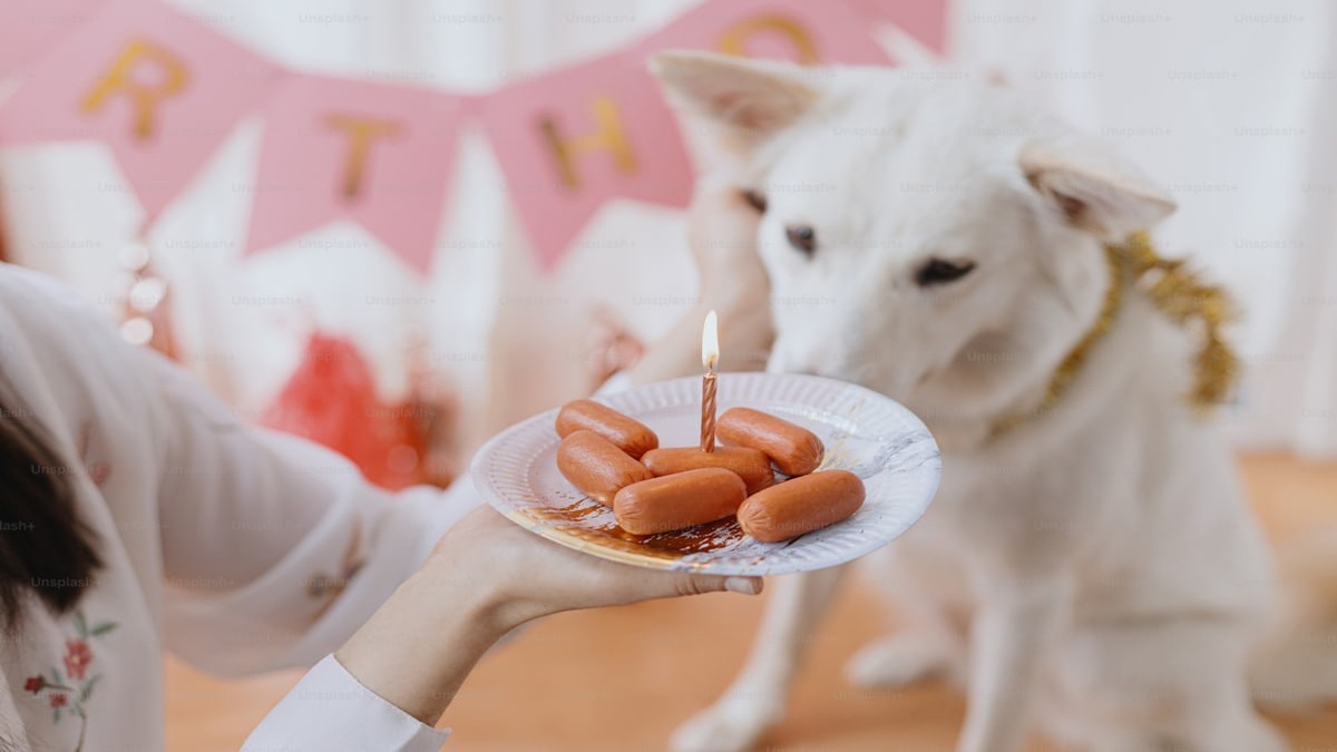 2025 USPS dog bite rankings