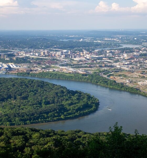 business entity search West Virginia