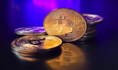Bitcoin Gold price chart and market trends
