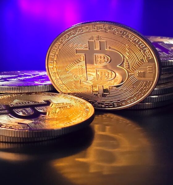 Bitcoin Gold price chart and market trends
