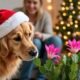 Are christmas cactus poisonous to dogs
