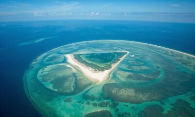 Barmuda Triangle Hilton Head Island
