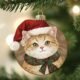 cat Christmas ornament