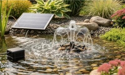 The Complete Guide to Constructing a Fountain With Pump and Modern Pond Solar